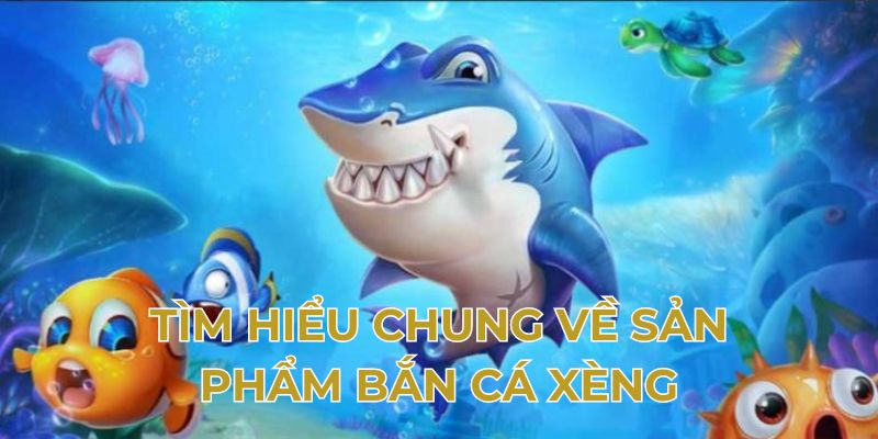 Tìm hiểu chung về sản phẩm bắn cá xèng